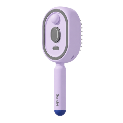 Electric Spray Air Cushion Massage Comb&20ml Hair Care Essential Oils
