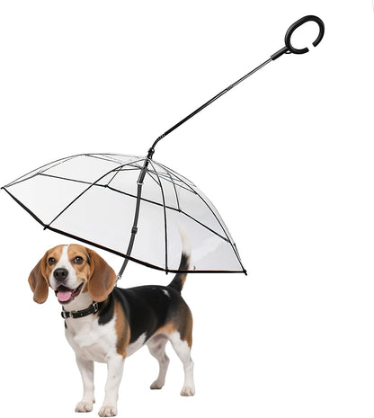 ☔Rainy Necessary 🐕‍🦺🐕‍🦺Dog Umbrella Leash☔