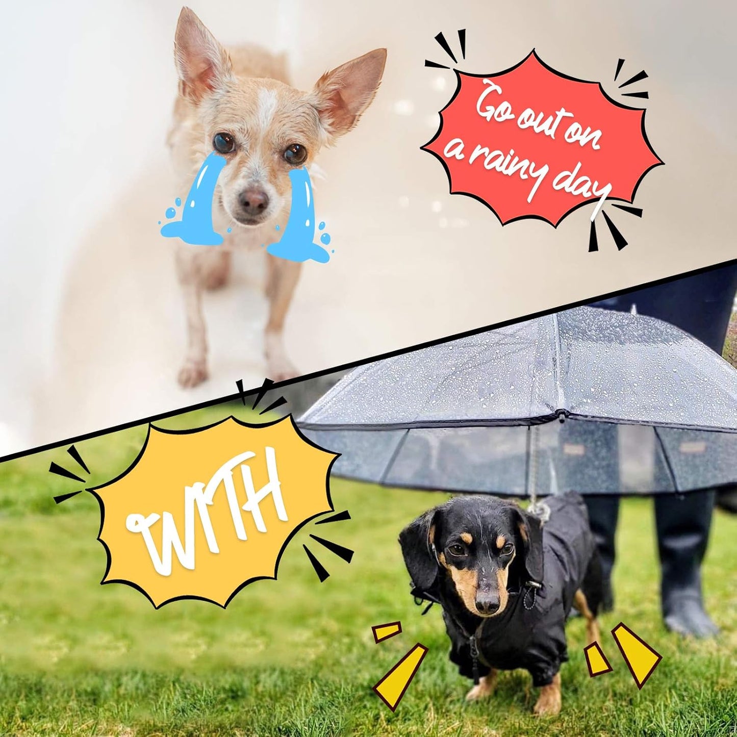 ☔Rainy Necessary 🐕‍🦺🐕‍🦺Dog Umbrella Leash☔