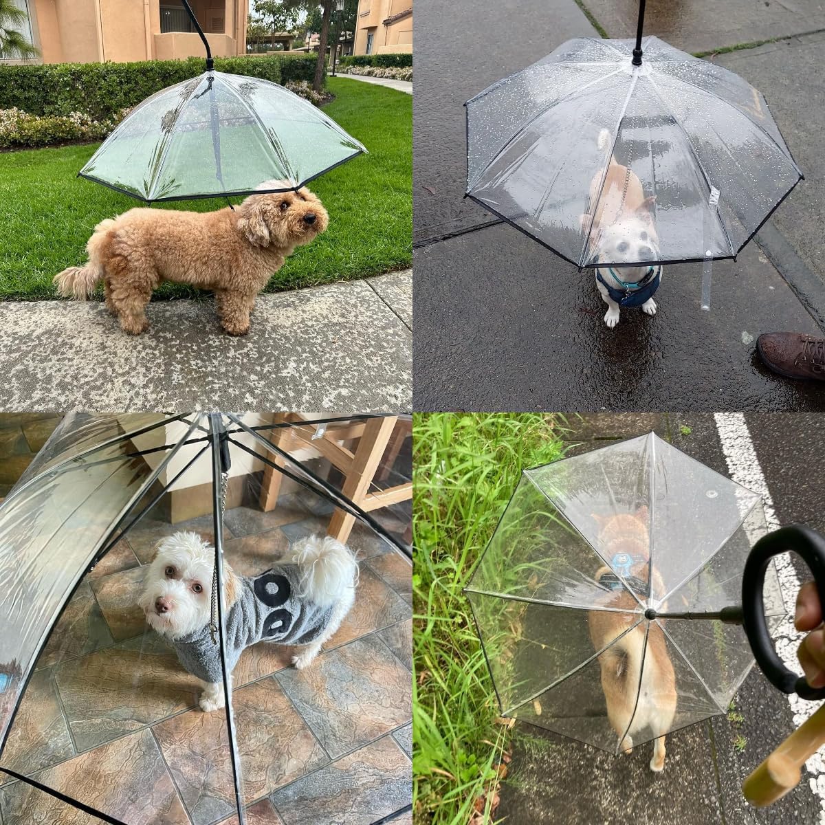☔Rainy Necessary 🐕‍🦺🐕‍🦺Dog Umbrella Leash☔