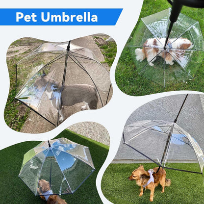 ☔Rainy Necessary 🐕‍🦺🐕‍🦺Dog Umbrella Leash☔