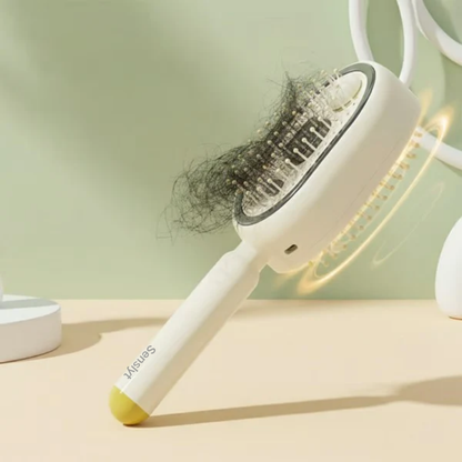 Electric Spray Air Cushion Massage Comb&20ml Hair Care Essential Oils