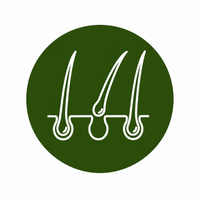 Feature icon